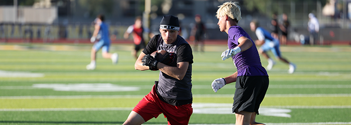 Ironwood Football logo