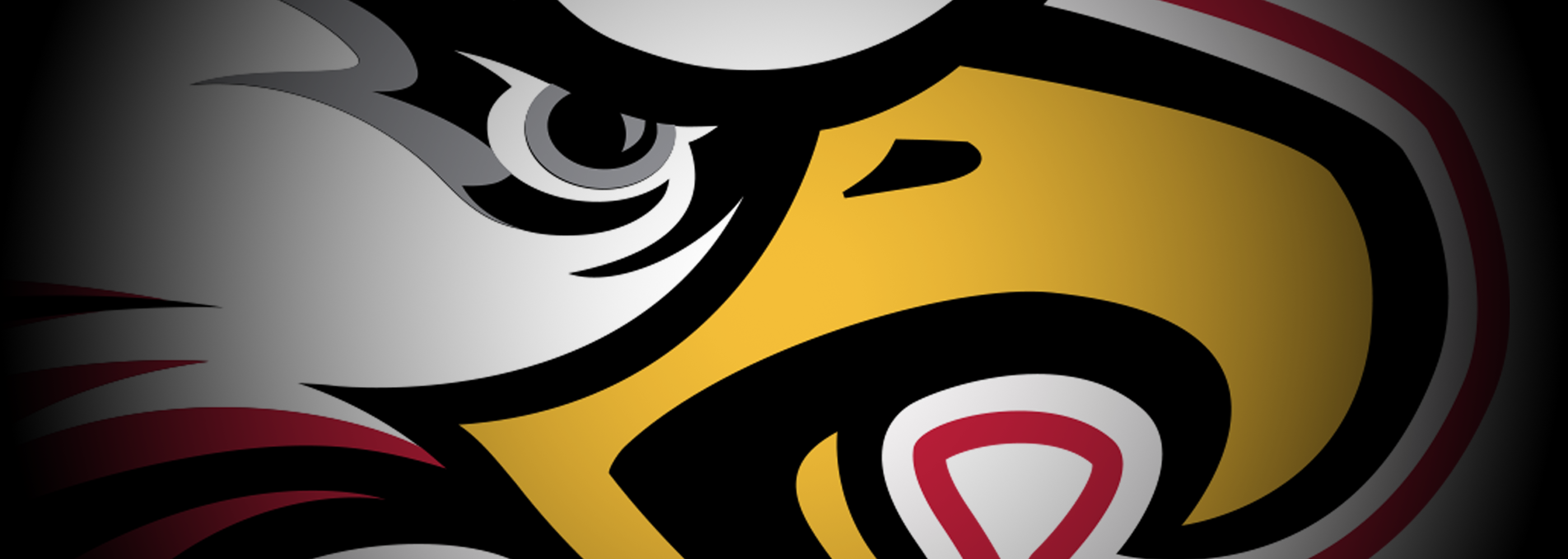 Ironwood Eagles Football